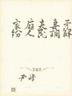 家庭夫妻矛盾纠纷人民调解