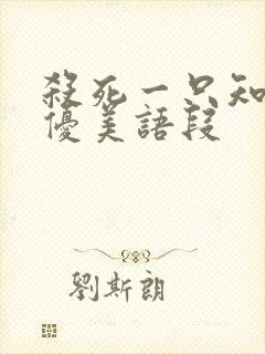 杀死一只知更鸟优美语段