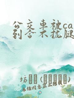 公交车被cao到合不拢腿视频