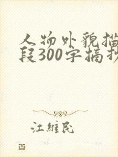 人物外貌描写片段300字摘抄