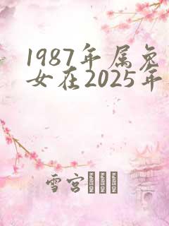 1987年属兔女在2025年财运如何