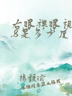 右眼裸眼视力4.8是多少度