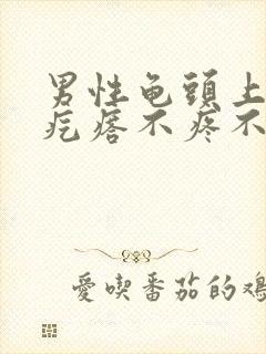 男性龟头上红色疙瘩不疼不痒