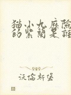 猫小九历险记中的紫兰是谁