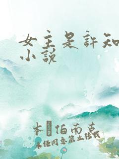 女主是许知意的小说