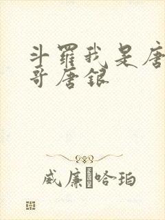 斗罗我是唐三他哥唐银