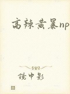 高辣黄暴np文