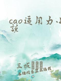 cao逼用力小说
