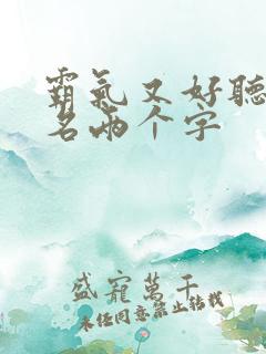 霸气又好听的网名两个字