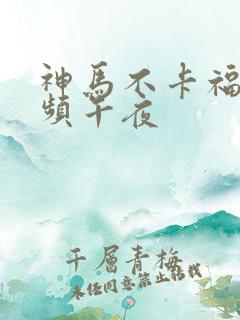 神马不卡福利视频午夜