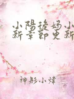 小阳后妈小说最新章节更新