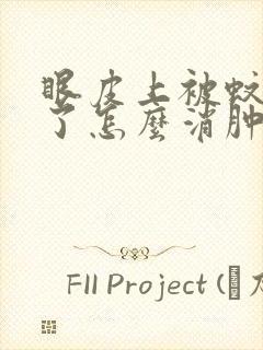 眼皮上被蚊子咬了怎么消肿