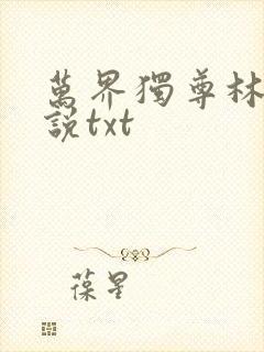 万界独尊林枫小说txt