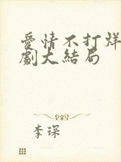 爱情不打烊电视剧大结局