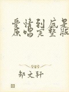 爱情到底是什么原唱完整版