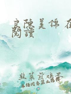 良陈美锦 在线阅读