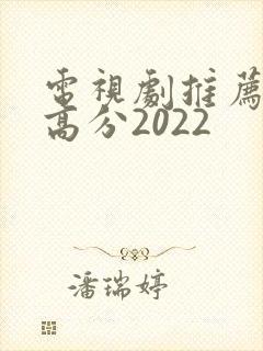 电视剧推荐豆瓣高分2022