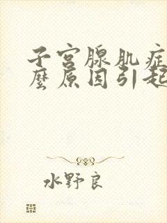 子宫腺肌症是什么原因引起了