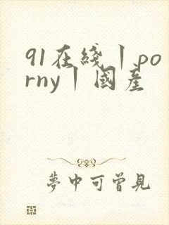 91在线丨porny丨国产