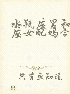 水瓶座男和双鱼座女配吗合适吗