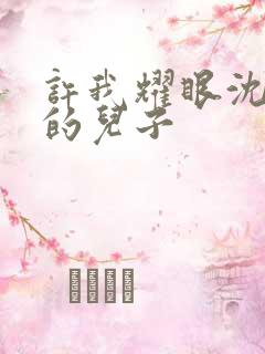 许我耀眼沈皓明的儿子