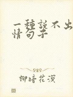 一种说不出的心情句子