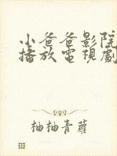 小爸爸影院免费播放电视剧