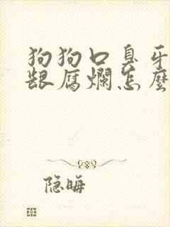 狗狗口臭牙齿牙龈腐烂怎么办