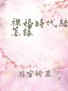 裸婚时代结局是怎样