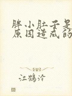 胖小肚子是什么原因造成的