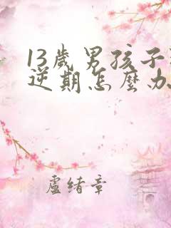 13岁男孩子叛逆期怎么办