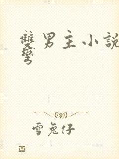 双男主小说直掰弯