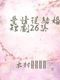 爱情从结婚开始短剧26集