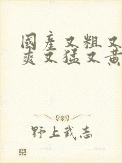 国产又粗又硬又爽又猛又黄视频