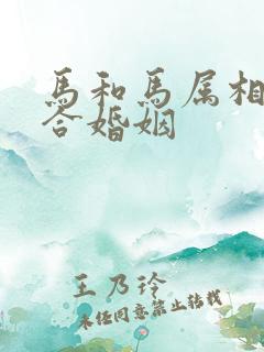 马和马属相合不合婚姻