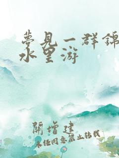 梦见一群锦鲤在水里游