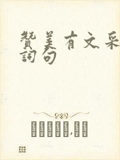 赞美有文采的诗词句