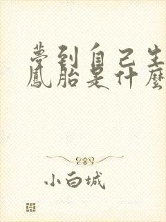 梦到自己生了龙凤胎是什么意思啊