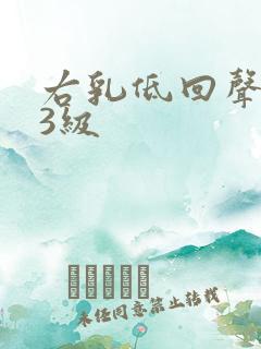 右乳低回声结节3级