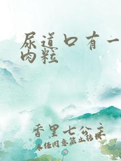 尿道口有一排小肉粒