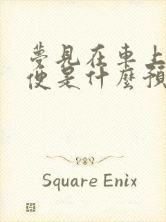 梦见在车上拉大便是什么预兆