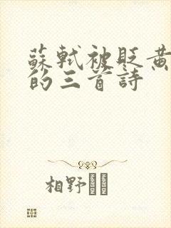 苏轼被贬黄州写的三首诗