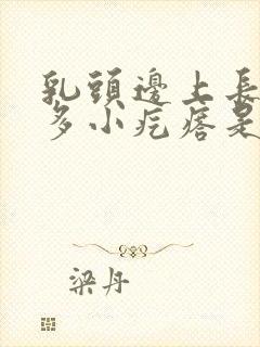 乳头边上长了很多小疙瘩是怎么回事啊