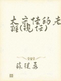 大宋佳的老公是谁(现任)