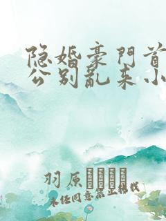 隐婚豪门首席老公别乱来小说