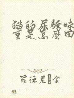 猫的尿骚味特别重是怎么回事