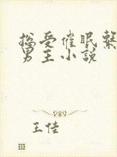 总受催眠系统双男主小说