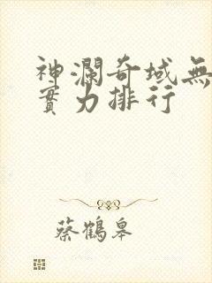 神澜奇域无双珠实力排行