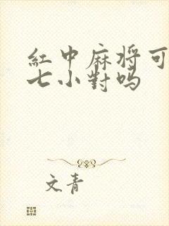 红中麻将可以打七小对吗