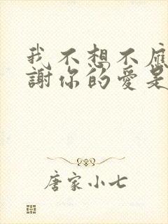 我不想不应该谢谢你的爱是什么歌